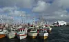 Fiskebåter til kai i Lofoten