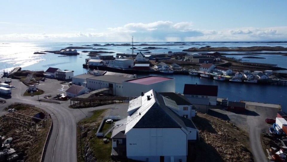 The High North Tour 2021: Røst Fights to Stop Out-Migration