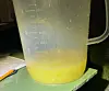 Nærbilde av et plastmålebeger med fiskeegg på en grønn flate.