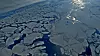 Arctic sea ice