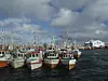 Fiskebåter til kai i Lofoten
