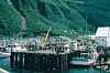Harbor in Alaska