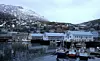 Fiskemottaket i Honningsvåg
