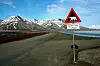 Isbjørnskilt Svalbard