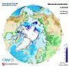 Sea ice coverage in the Arctic Ocean. Little ice along the NSR is contrasted by thick ice along the NWP. (Illustration: Courtesy of Alfred-Wegener-Institut (CC-BY 4.0) )