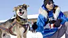 Joe Bifelt, George Attla’s grandnephew, with one of George’s dogs (named Happy) at the 2015 Open North American sled dog race (Photo credit: Catharine Axley)