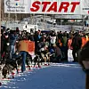 Start nummer 22, Robert Sørlie, er i gang under årets Iditarod. Foto: Arne O. Holm