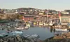 Havnen i Ilulissat