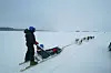 Dog sledging along the Onega lake coastline. (Photo: Gleb Semerenko)