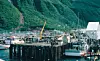 Harbor in Alaska