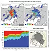 These maps show the ice age distribution during week nine in 1984 (a) and 2018 (b). The time-series (c) shows total sea ice extent for different age classes as is outlined in the Arctic Ocean Domain (d). (Source: Preliminary analysis courtesy M. Tschudi, University of Colorado Boulder. Images by M. Tschudi, S. Stewart, University of Colorado, Boulder, and W. Meier, J. Stroeve, NSIDC, http://nsidc.org/arcticseaicenews/2018/05/arctic-winter-warms-up-to-a-low-summer-ice-season/ )