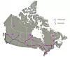Potential and existing transportation corridors. (University of Calgary/Andrei Sulzenko and Kent Fellows)