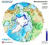 Arctic sea ice at the annual minimum on September 13th  (Source: Alfred Wegener Institute)